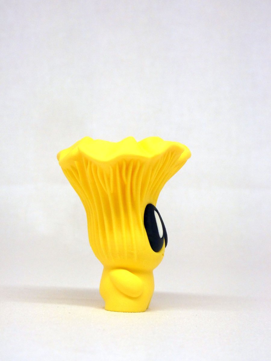 Chanterelle – Image 12