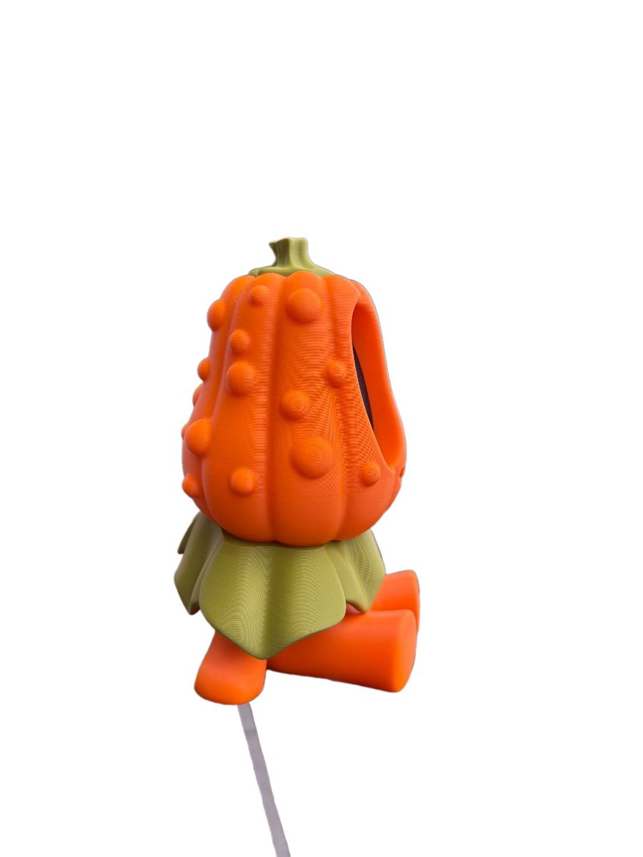 Grande Citrouille assise – Image 5
